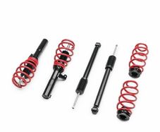 raceland a3 saloon 8V coilovers