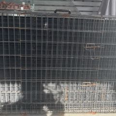 dog cage
