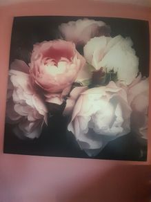 Large canvas picture measurements to follow open to offers