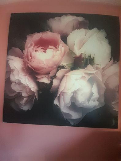 Large canvas picture measurements to follow open to offers