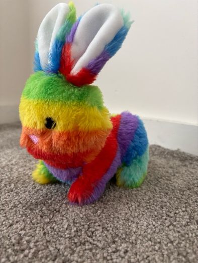 bunny