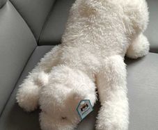 Rare Jellycat Nozzy Polar Bear Retired Brand New With Tags
