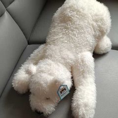 Rare Jellycat Nozzy Polar Bear Retired Brand New With Tags