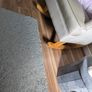 Rocking Chair for Nursery Image 2