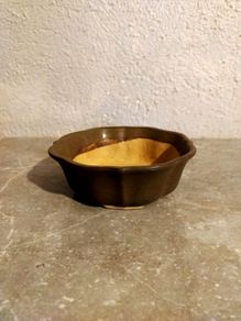 Medium Bonsai Pot #1