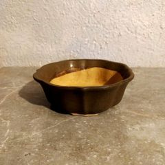 Medium Bonsai Pot #1