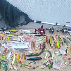 fishing lures