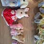 Sylvanian Families Image 5
