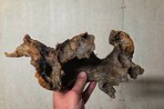 Aquarium Driftwood Size Medium