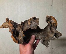 Aquarium Driftwood Size Medium