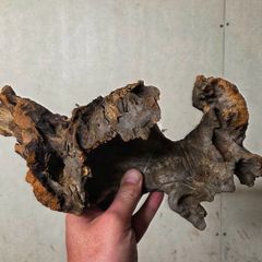 Aquarium Driftwood Size Medium