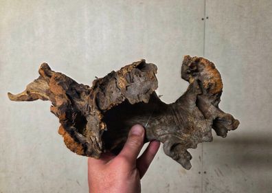 Aquarium Driftwood Size Medium