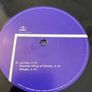 Underworld - Beaucoup Fish - 2 x 12" Gatefold LP - 2017 Remastered Version Image 7