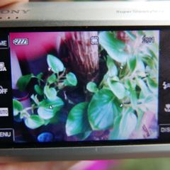 Sony Cyber-shot DSC-T70 8.1MP Digital Camera - Silver + charger works well