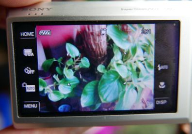 Sony Cyber-shot DSC-T70 8.1MP Digital Camera - Silver + charger works well