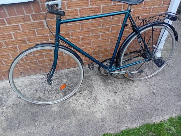 adults bike