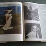 The Painters of Ireland c.1660-1920 Irish History Art Image 10