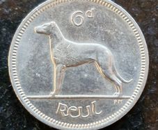 Fantastic Ireland 1969 Six Pence 6d coin