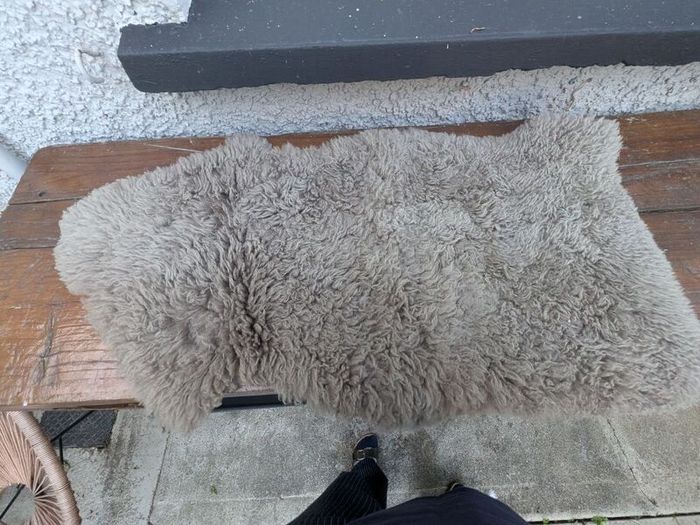 rug