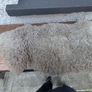 rug Image 3