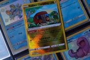 Radiant Charjabug ! Ultra Rare ! from Crown Zenith Set ! 2023 ! Pokemon Card !