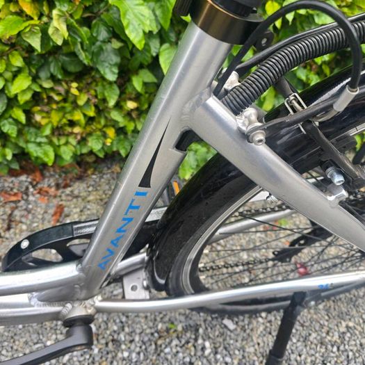 Ladies electric bike