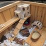 Large hamster cage + accessories + Robovski dwarf hamster Image 6