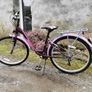 20" girls bike Image 2