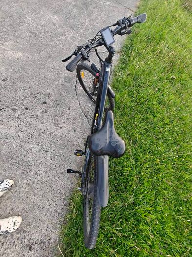 Electric mountain bike