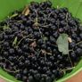 Fresh blackcurrants price is per kilo Image 3