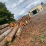 Decorative timber / mantle pieces cut to order Image 8
