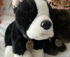 Keel Toys teddy's dog Duke