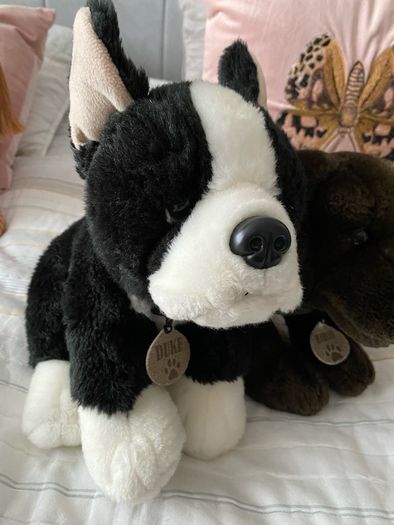 Keel Toys teddy's dog Duke
