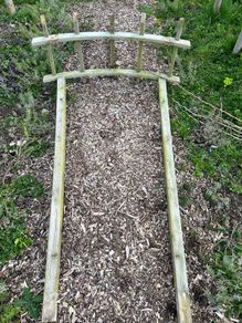 Garden Arch