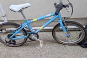 Raleigh girls bike