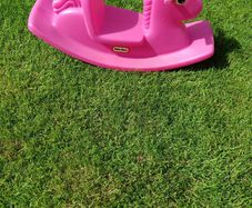rocking horse