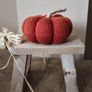 Pumpkin Image 3