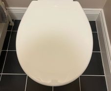 New Toilet seat X 2