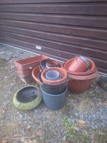 Selection of plant pots