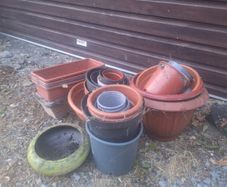 Selection of plant pots