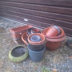 Selection of plant pots