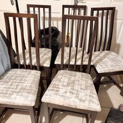 5 dining chairs