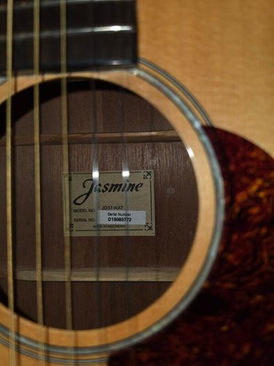 Jasmine acoustic guitar