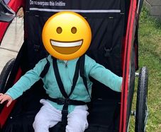 bike trailer