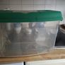 fish tank Image 5