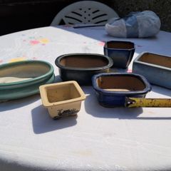 Bonsai Dishes