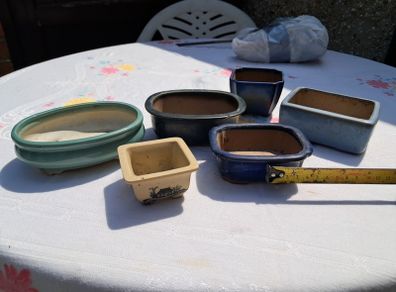 Bonsai Dishes