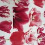Fabric Image 2