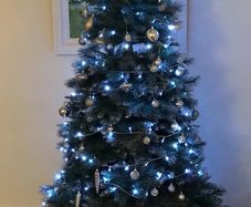 Christmas Tree 7ft Aspen Spruce
