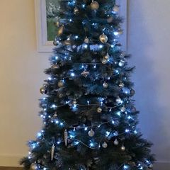 Christmas Tree 7ft Aspen Spruce